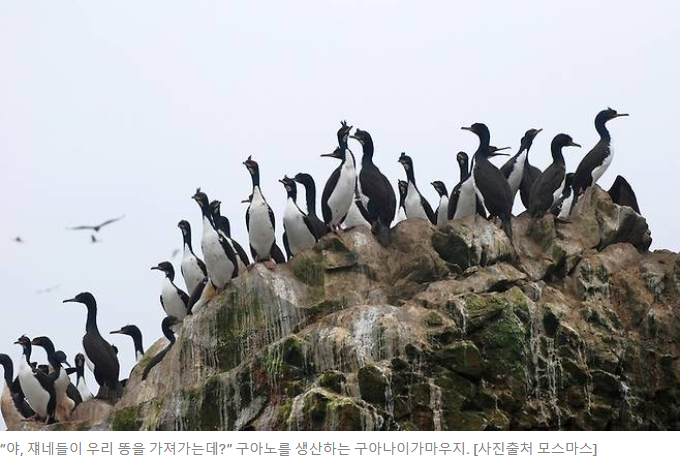 제목 :“똥냄새 맡는 순간 욕구 참을 수 없었다”…눈 돌아간 사내들, 결국 서로를 [히코노미]