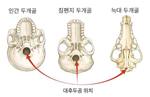 히틀러·무솔리니 파시즘이 가능했던 이유 [의사소통의 심리학]